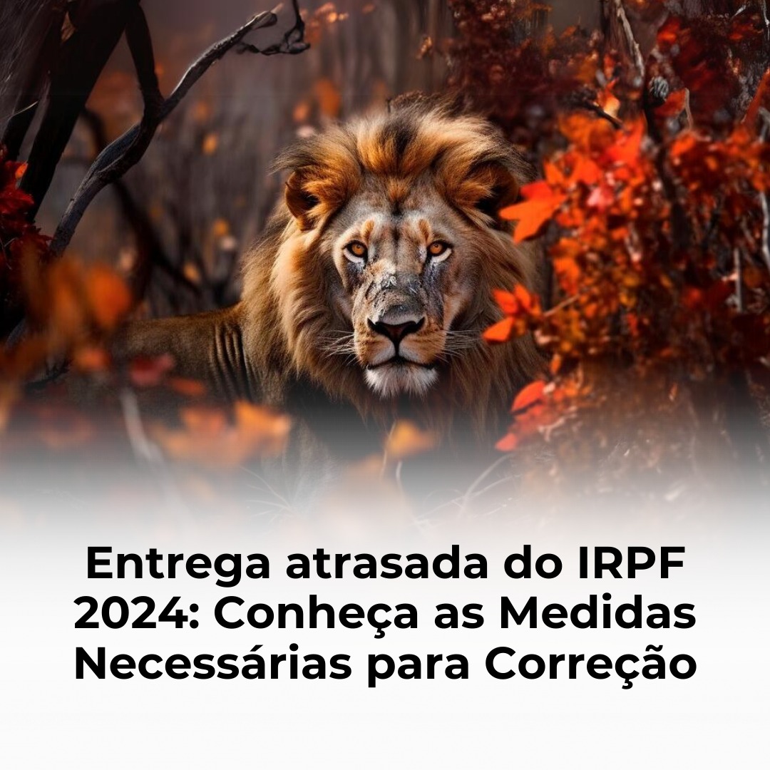 Entrega atrasada do IRPF 2024: Conheça as Medidas Necessárias para Correção